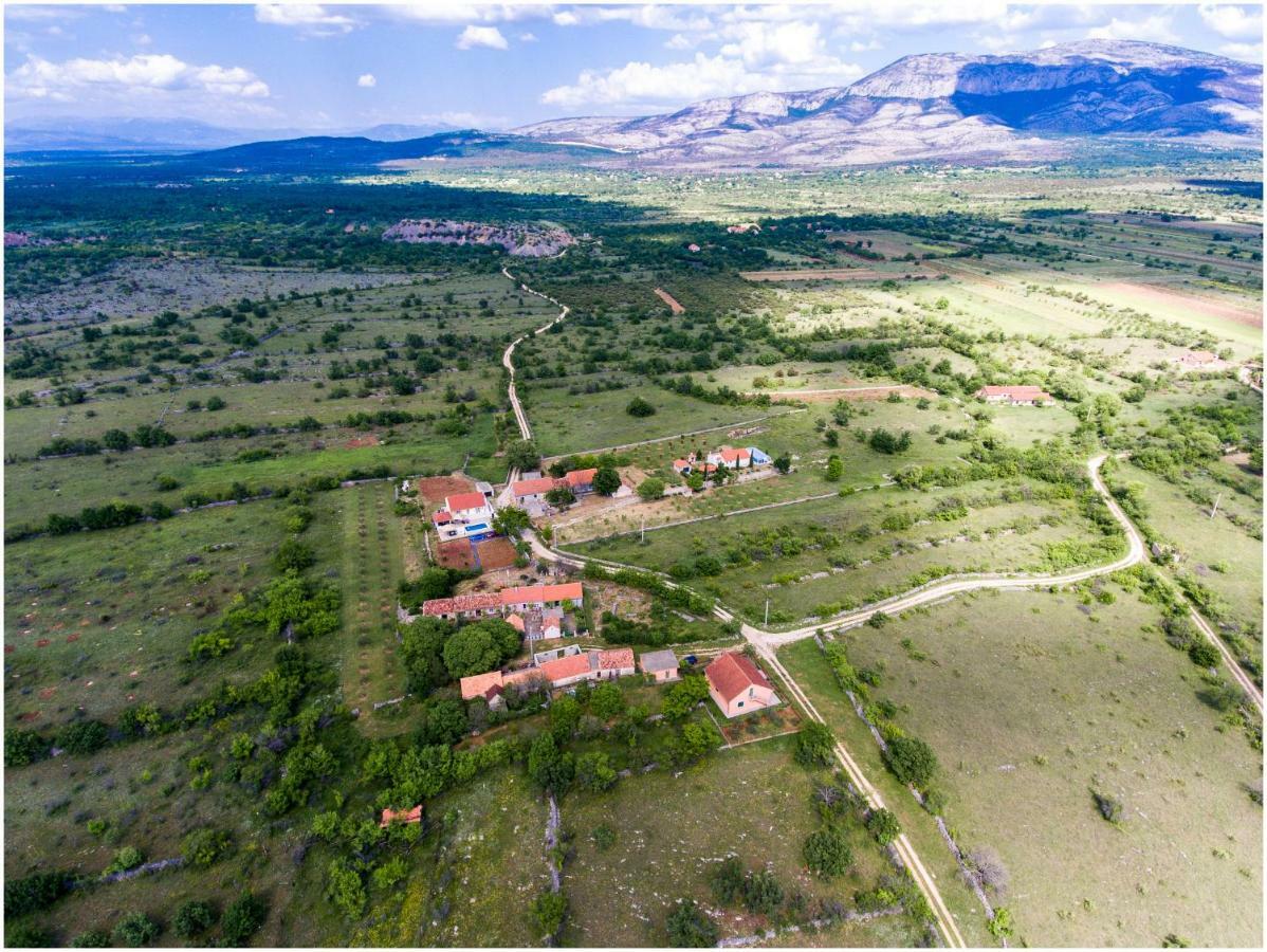 House Mellifera Ξενοδοχείο Razvode Εξωτερικό φωτογραφία