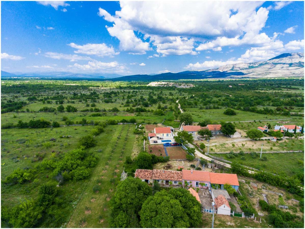 House Mellifera Ξενοδοχείο Razvode Εξωτερικό φωτογραφία